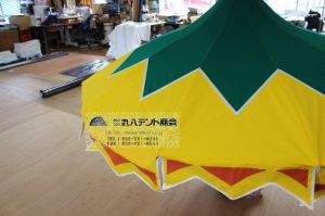 parasol.jpg